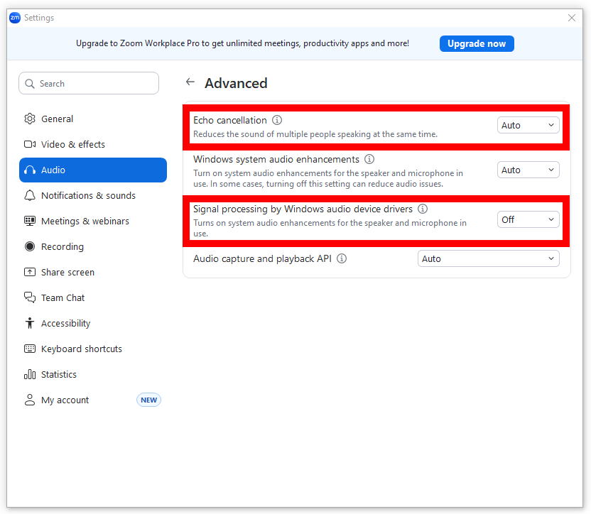 SCreenshot of Advanced Audio Options