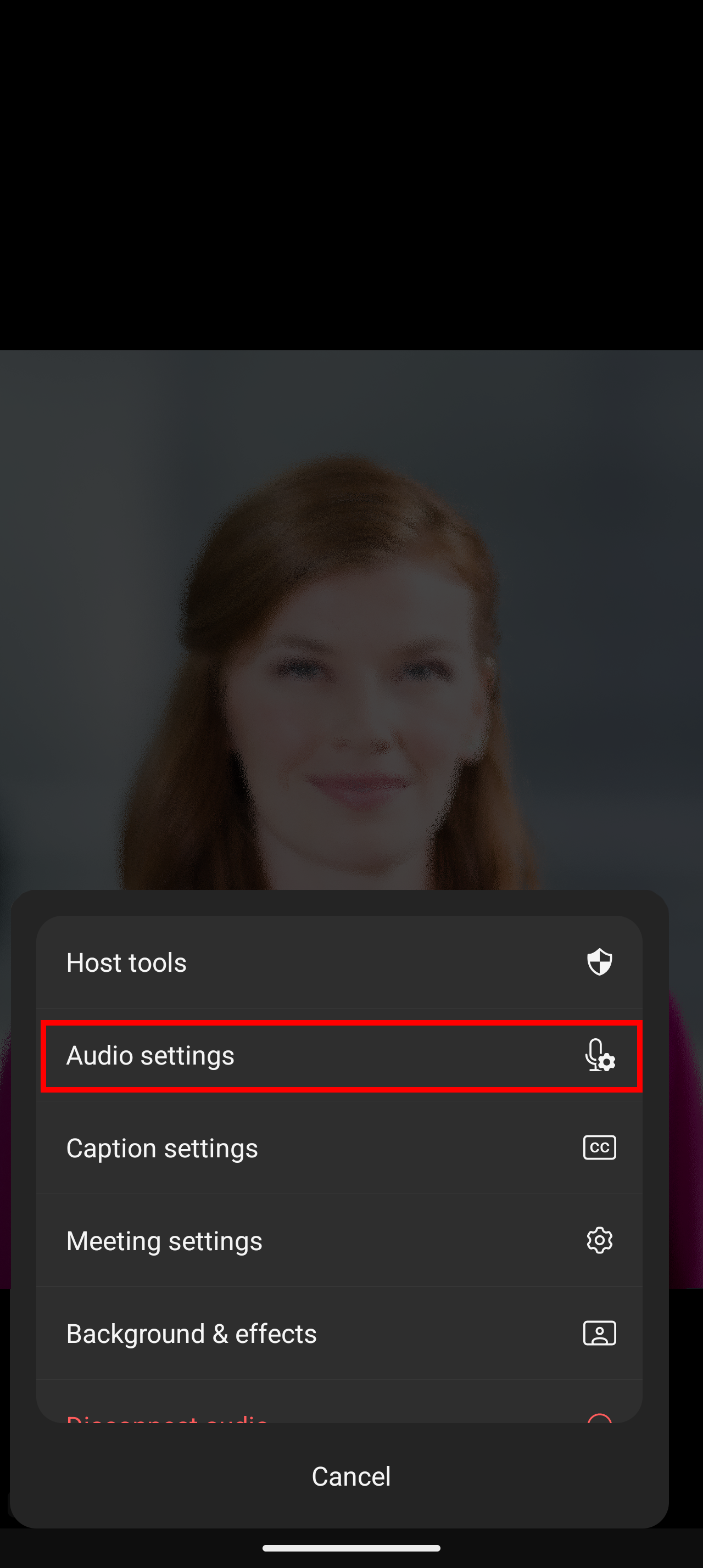 Screenshot Highlighting the Audio Settings Option